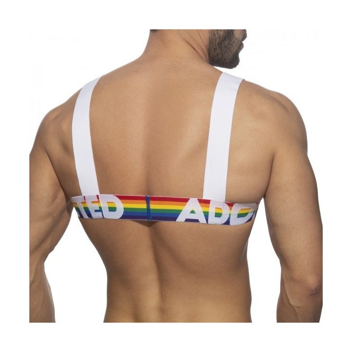 Addicted Rainbow Harness ADS1111
