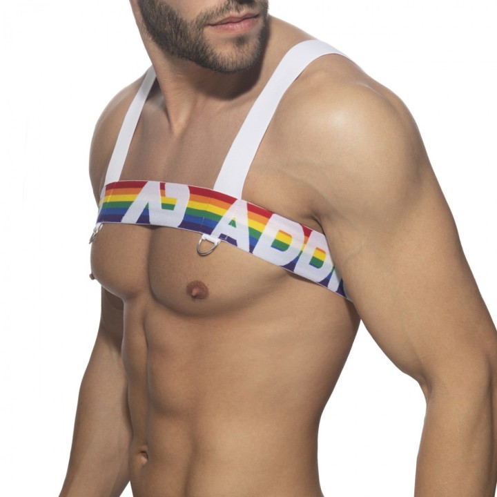 Addicted Regenbogen Geschirr AD1111