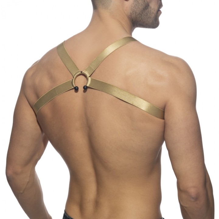 Addicted Bull Ring harness AD1080
