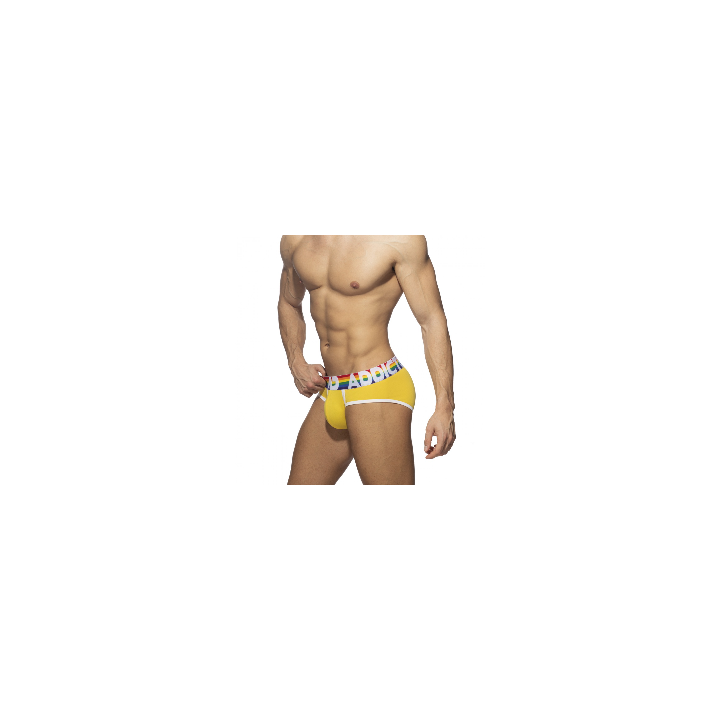 Addicted 6 Pack Rainbow Brief AD1142P