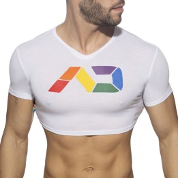 Addicted Crop Top Rainbow AD1172