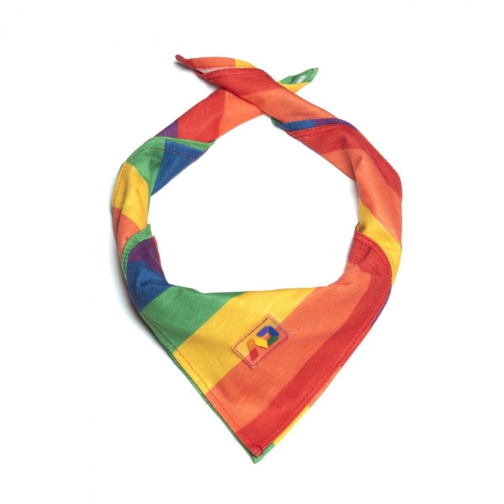Addicted Rainbow Neckpiece AD1182