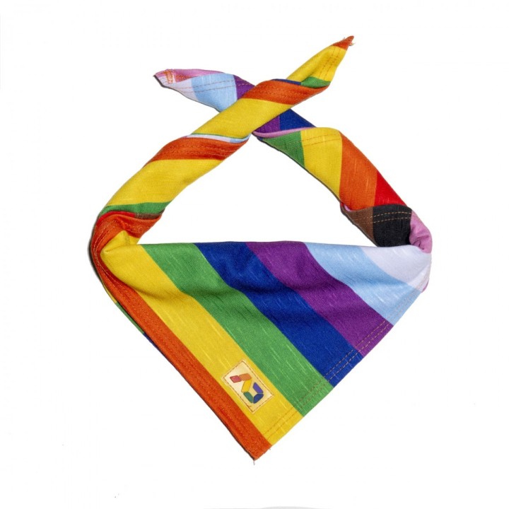 Eșarfă Inclusive Rainbow Addicted AD1307