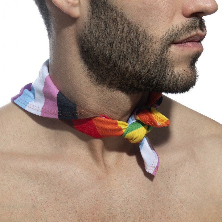 Eșarfă Inclusive Rainbow Addicted AD1307