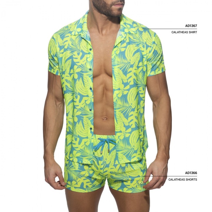 Addicted Calatheas Shorts AD1366