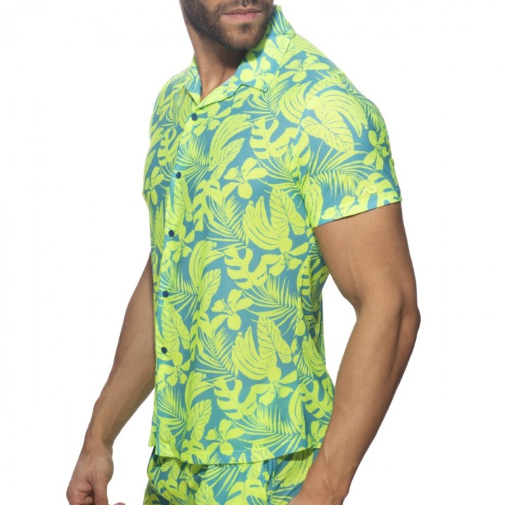 Addicted Calatheas Ing AD1367
