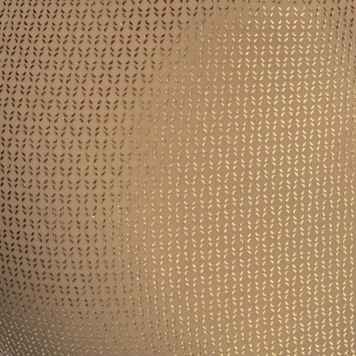 Trblietavo-zlaté bikini slipy Radiant Gold ES Collection UN634