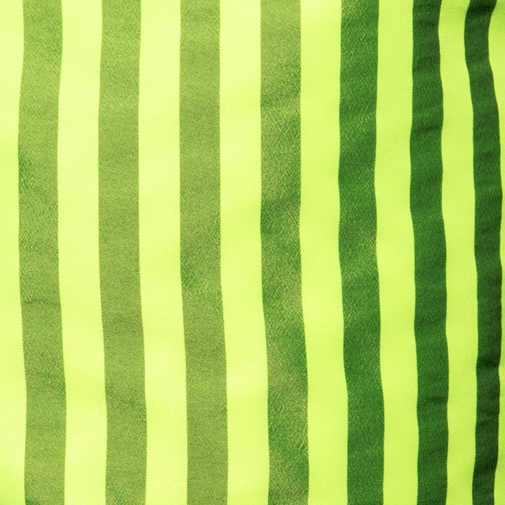 ES Collection Neon Stripes Boardshorts 2523
