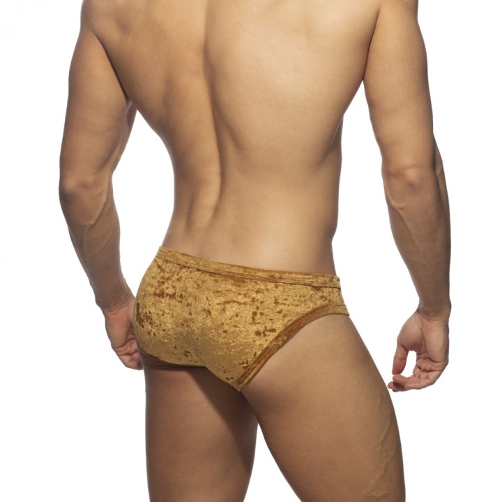 Addicted Velvet Shady Bikini Slip AD1208