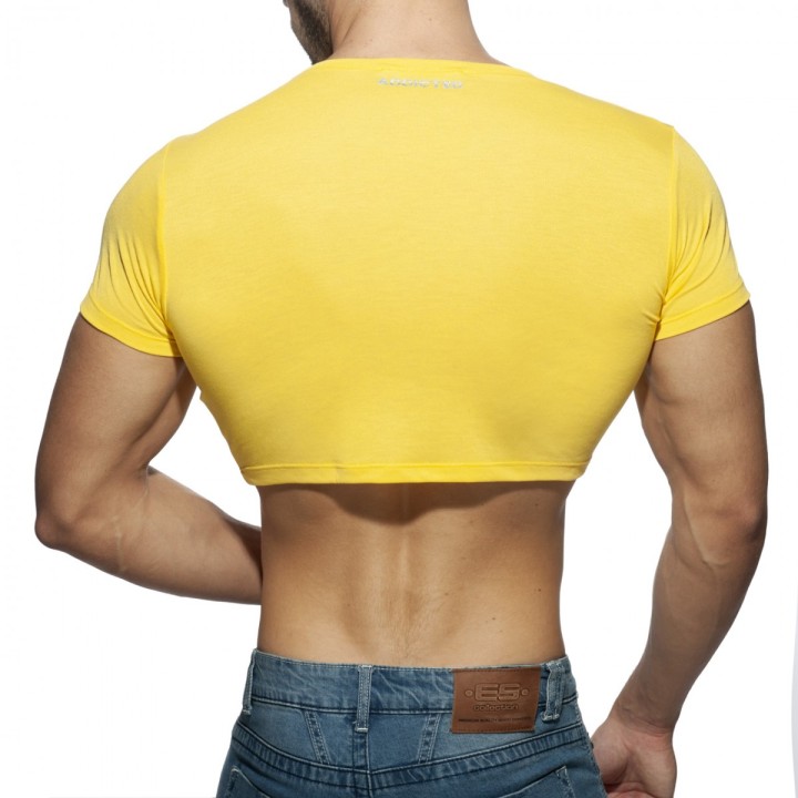 Addicted Ad Crop Top AD819