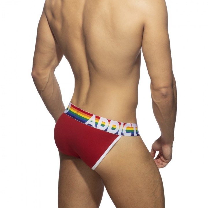 Addicted 6 Pack Rainbow Bikini AD1146